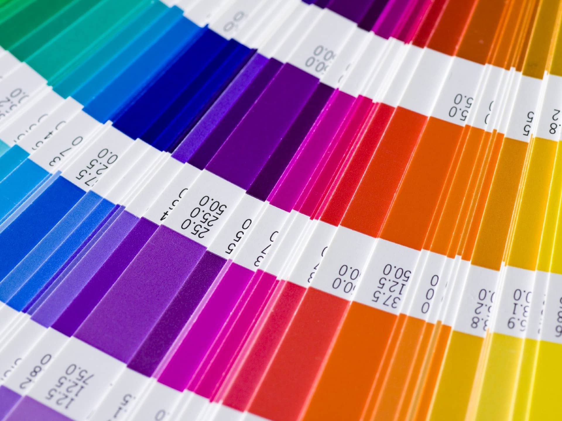 Top tips for choosing brand colours