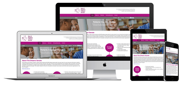 EOE Citizens Senate Website Design